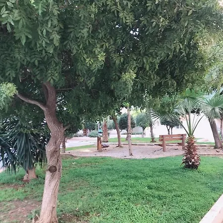 Paradise Λεμεσός